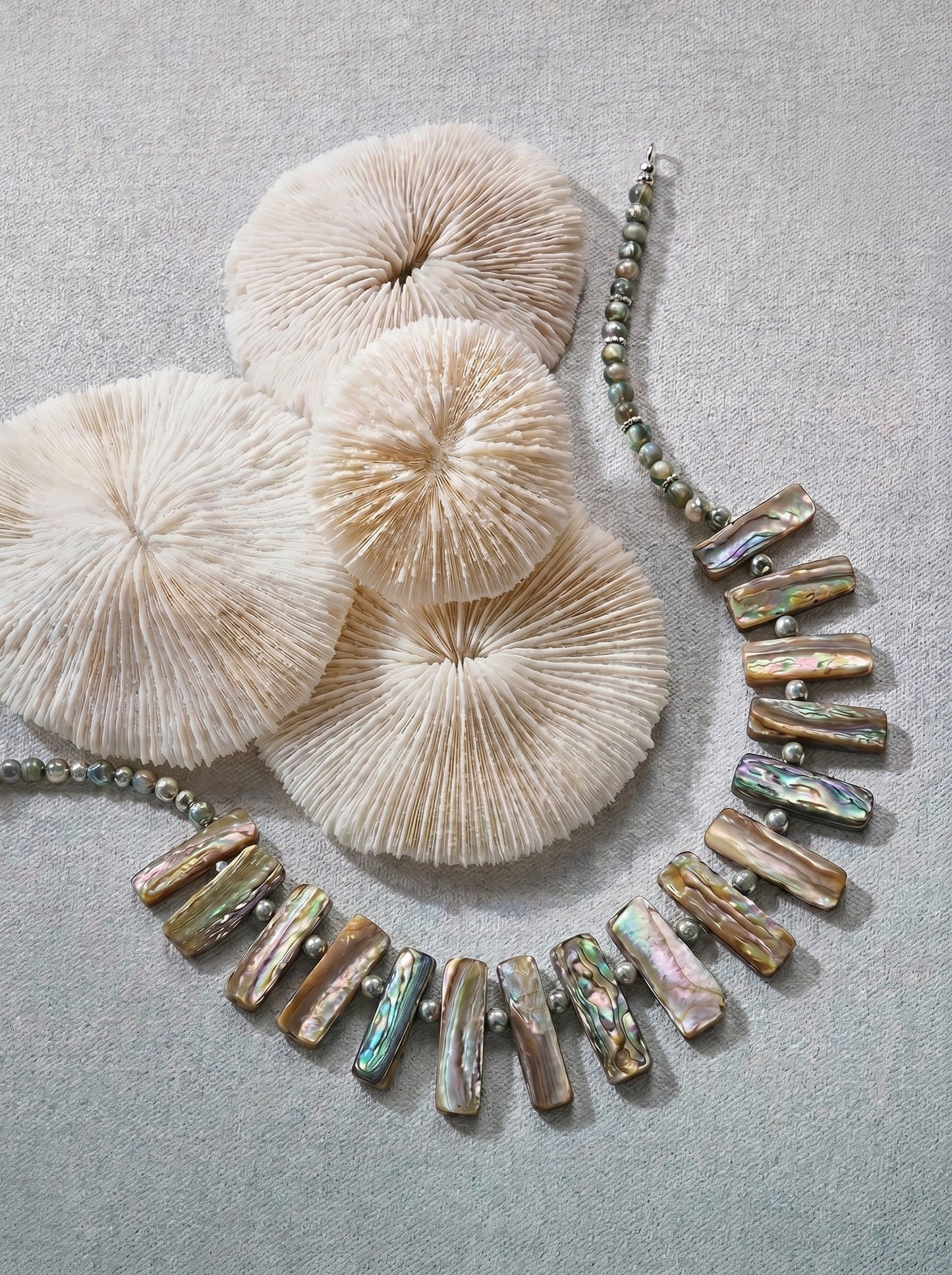 Shell Fan Necklace